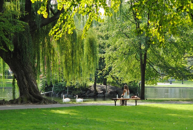 Zielona Częstochowa – parki i skwery idealne na odpoczynek