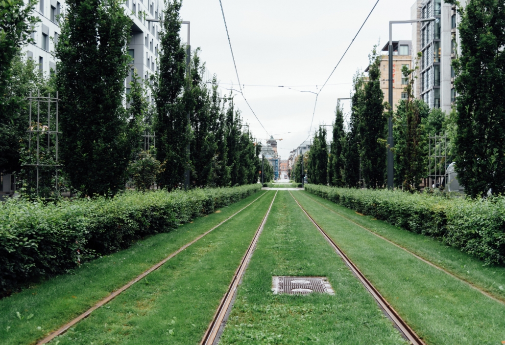 Początek drugiego etapu prac związanych z naprawą torowiska tramwajowego: wprowadzenie zastępczej linii autobusowej