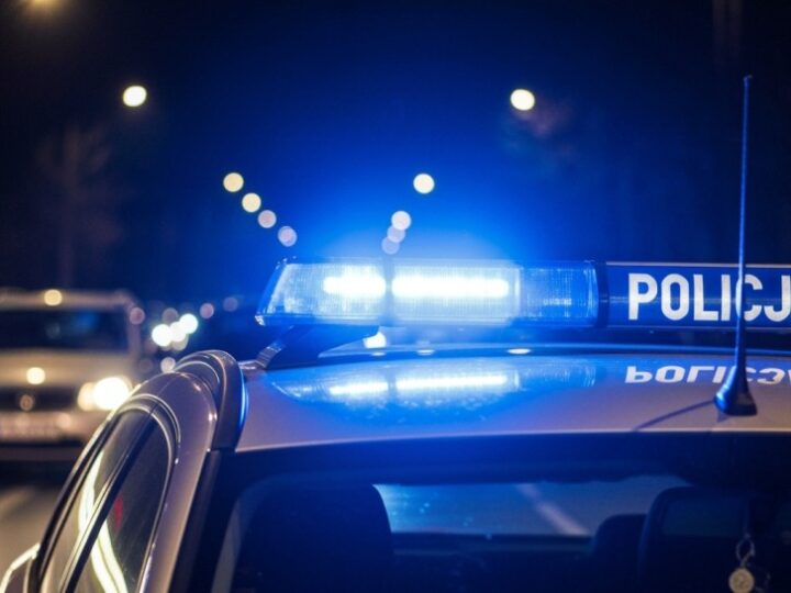 Ukrainiec z zakazem prowadzenia pojazdów zatrzymany na A1 i deportowany z Polski