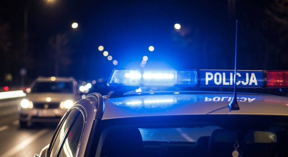 Ukrainiec z zakazem prowadzenia pojazdów zatrzymany na A1 i deportowany z Polski