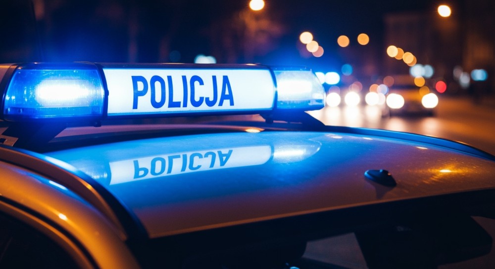 Częstochowska policjantka uratowała niedźwiedzia: zwierzę trafiło do ZOO