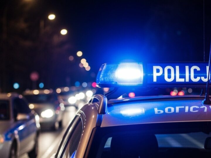 Złodzieje czają się na działkach! Jak chronić swoje mienie?