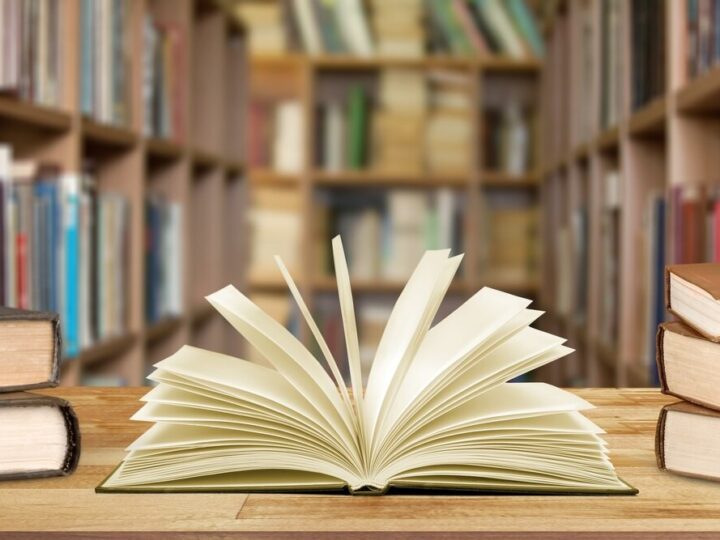 Walkiria z północy: Elżbieta Krasińska i jej walka o niezależność