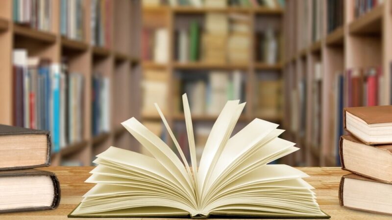 Walkiria z północy: Elżbieta Krasińska i jej walka o niezależność