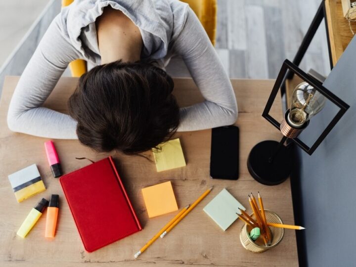 Zielona Pracownia w Rudnikach: Miejsce dla młodych odkrywców!