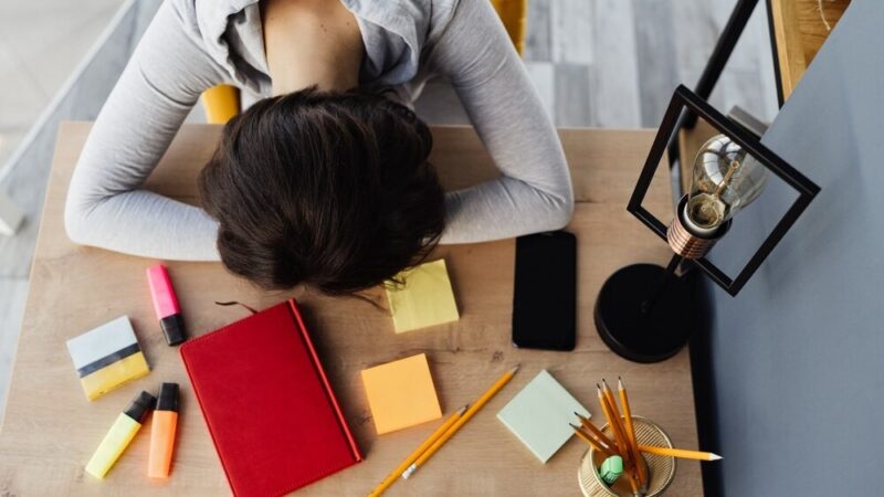 Zielona Pracownia w Rudnikach: Miejsce dla młodych odkrywców!