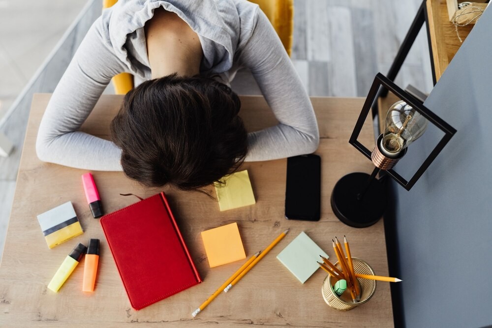 Zielona Pracownia w Rudnikach: Miejsce dla młodych odkrywców!