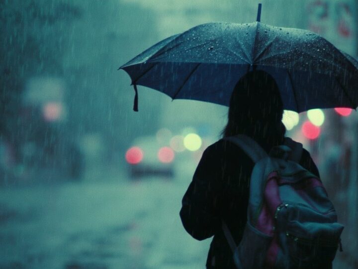 Gęsta mgła: Ostrzeżenie meteorologiczne nr 241