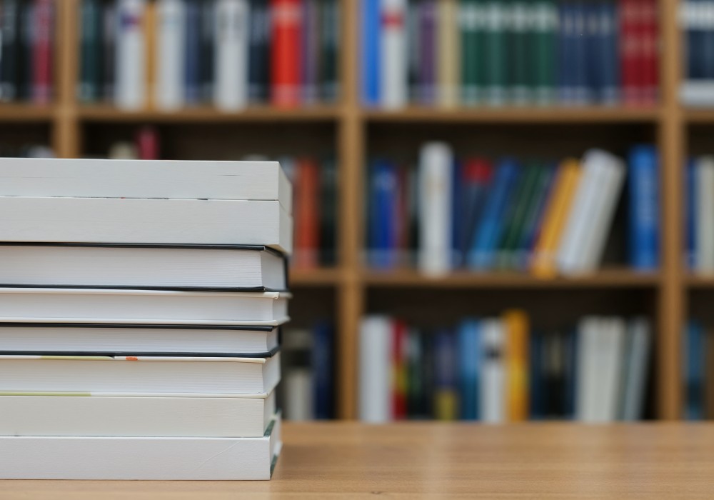 Literackie koty, które warto odkryć w Dniu Kota