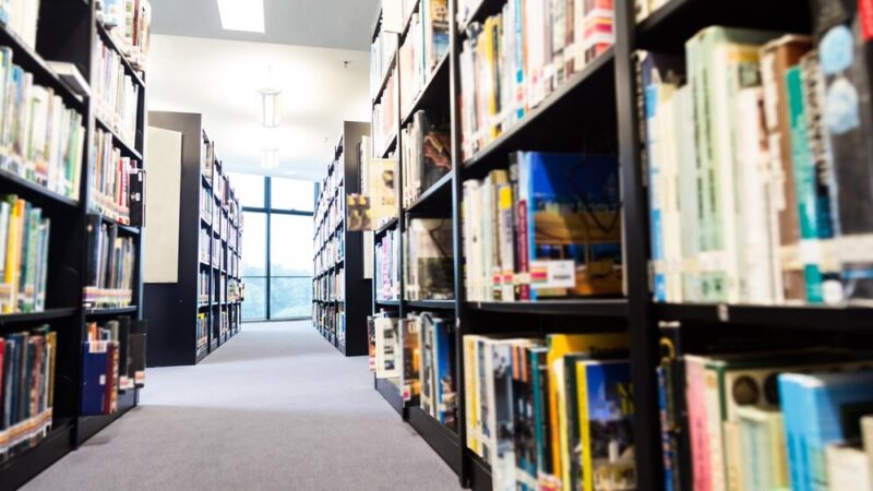 Tajemnice Genevieve: Spotkanie z Kamilą Kolińską i premiera nowej powieści!