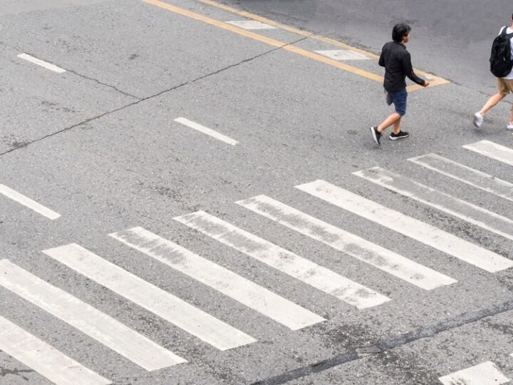 Kobieta w Częstochowie pogryziona przez psa właściciela pod wpływem alkoholu