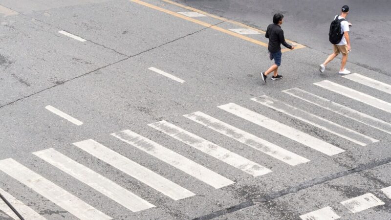 Kobieta w Częstochowie pogryziona przez psa właściciela pod wpływem alkoholu