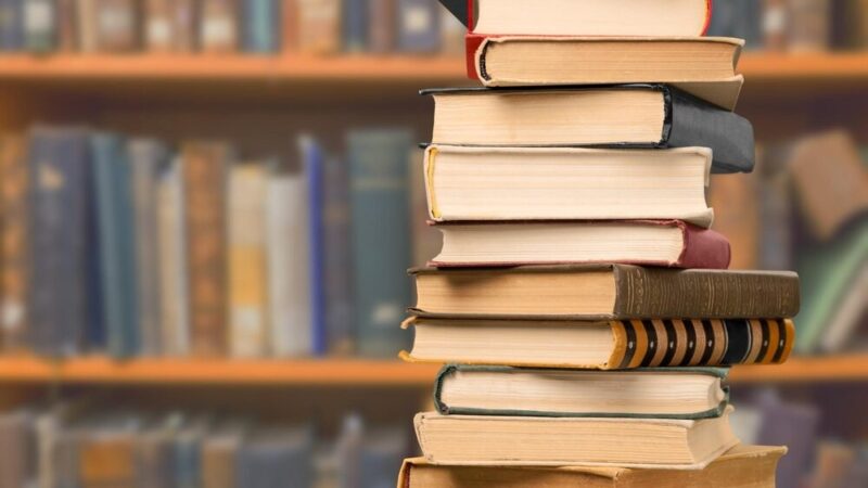 Częstochowa odkrywa literacką gwiazdę: Kamila Kolińska zachwyca tłumy