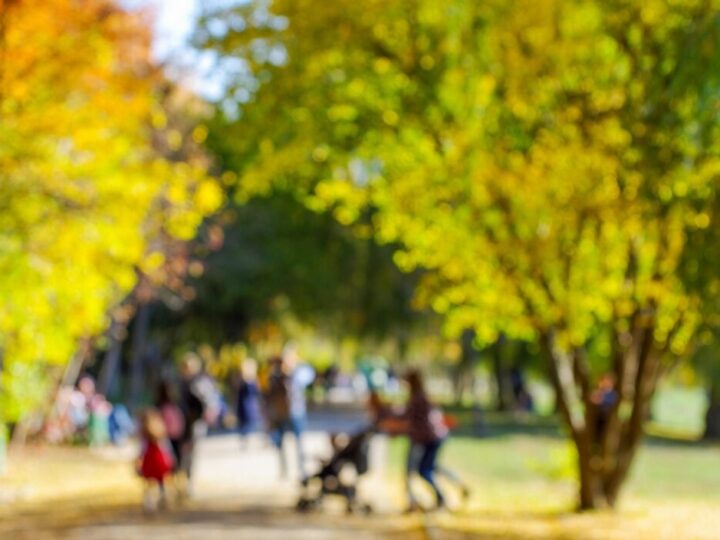 Rodzinne Aktywności ZDR 3+ Startują w Marcu!