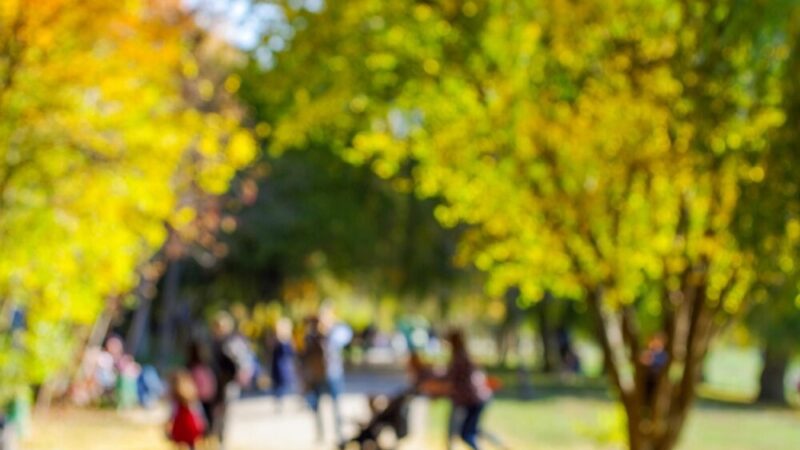 Rodzinne Aktywności ZDR 3+ Startują w Marcu!