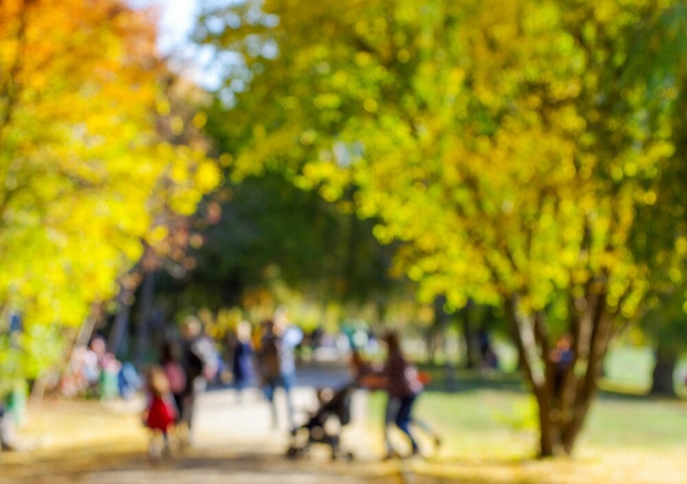Rodzinne Aktywności ZDR 3+ Startują w Marcu!