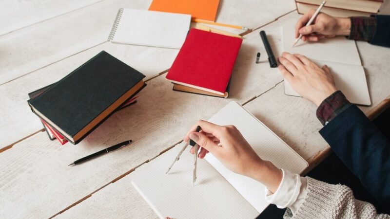 Nowy dyrektor żłobka w Starczy – dołącz do „Bajkowej Krainy”!