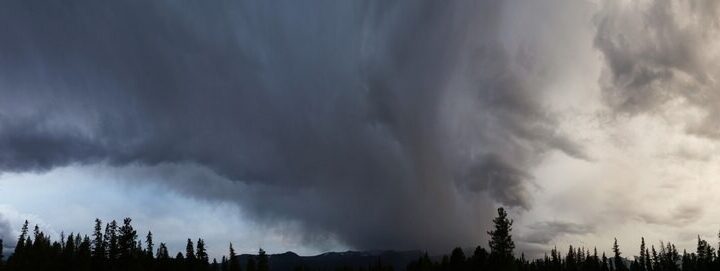 Przygotuj się na przymrozki: zimne noce nadchodzą!