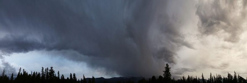 Przygotuj się na przymrozki: zimne noce nadchodzą!
