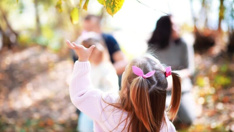 Piknik „Aktywna Mama” w Złotym Potoku: radosne święto rodzinnej aktywności i zdrowia