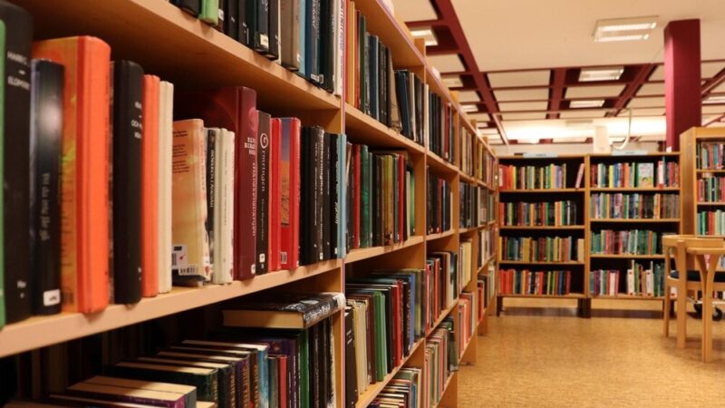 Doskonałość, która więzi: literackie utopie jako ostrzeżenie przed niebezpieczeństwami idealnych społeczeństw