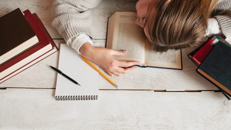 Międzyszkolny Mól Biblioteczny 2025/2026 – zwycięzcy jubileuszowej edycji konkursu czytelniczego
