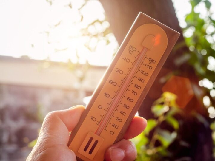 Ostrzeżenie meteorologiczne: Upał na horyzoncie!