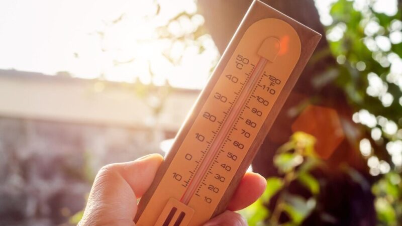 Ostrzeżenie meteorologiczne: Upał na horyzoncie!