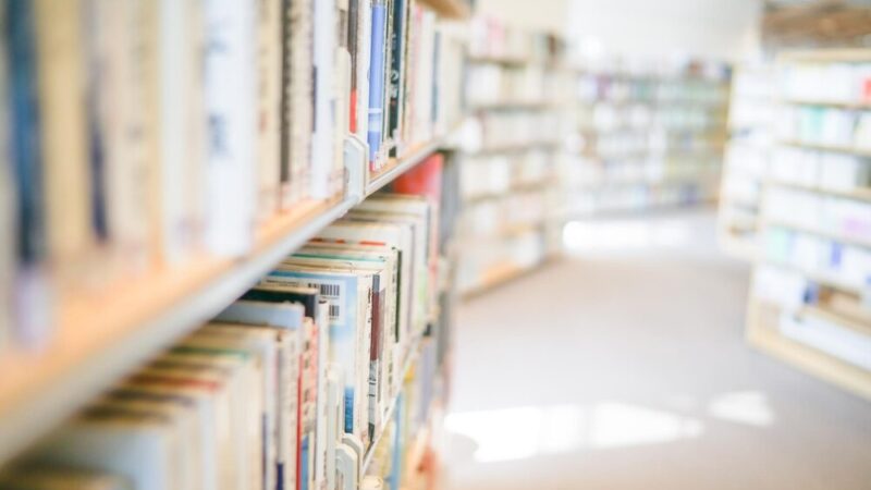 Literackie Lato w Blachowni: Odkryj książki i twórcze zajęcia!