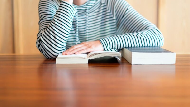 Zielony Zakątek Przedszkolaka w Aleksandrii – nowa edukacyjna przestrzeń dla najmłodszych