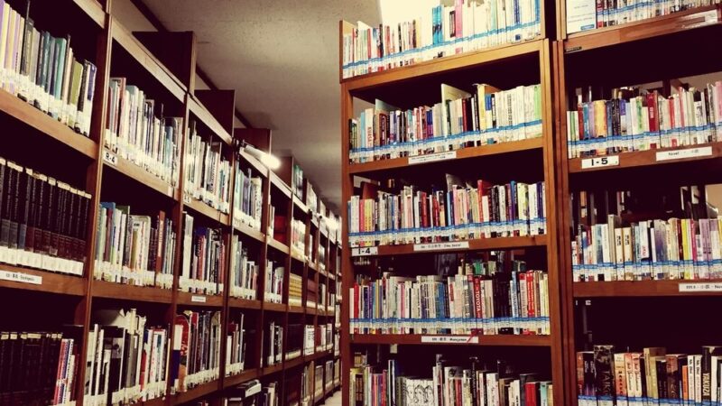 Literackie odkrycia Częstochowy: sierpniowe wyzwanie dla czytelników