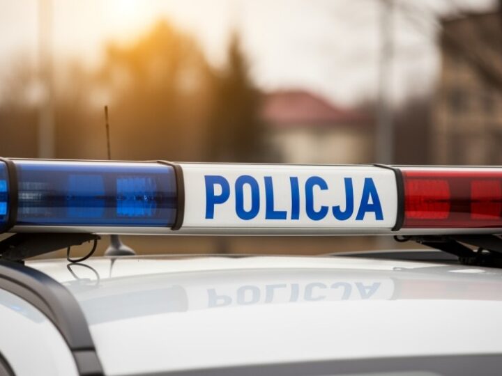 Zaginięcie 14-letniej Poliny Moiseieva z Częstochowy – policja prosi o pomoc