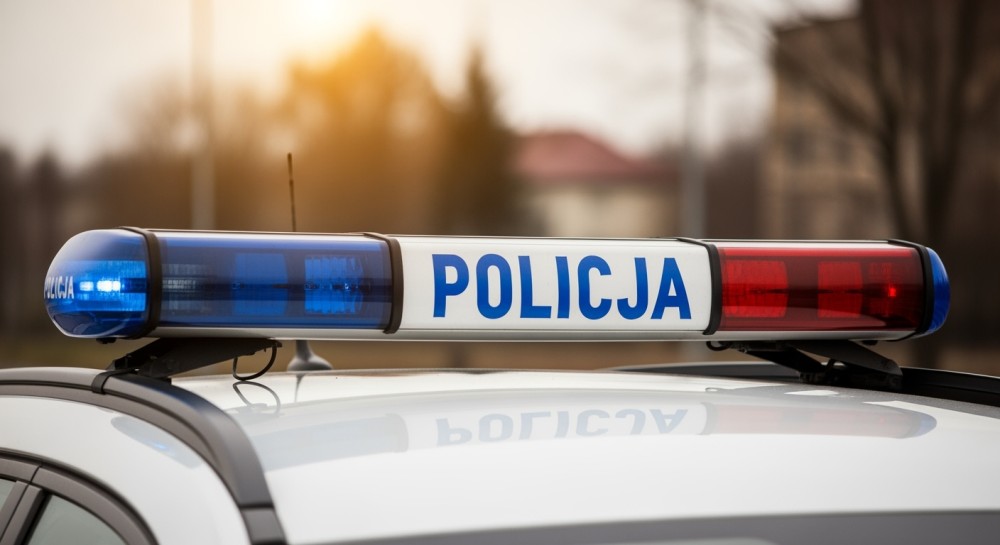 Zaginięcie 14-letniej Poliny Moiseieva z Częstochowy – policja prosi o pomoc